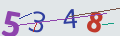 verifycode